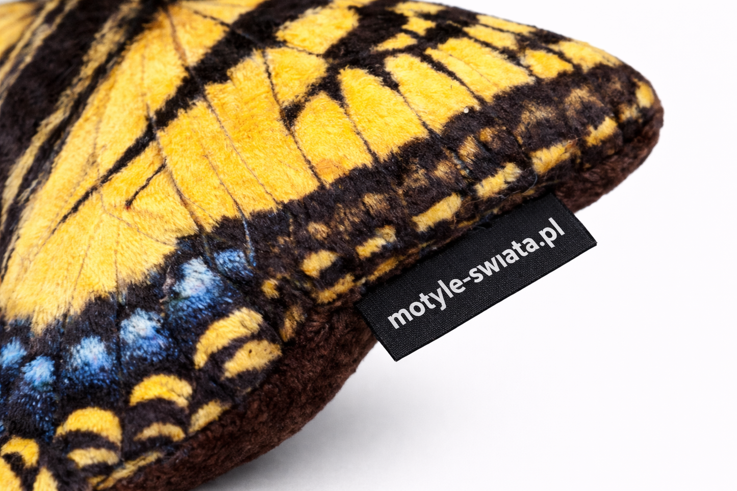 Motylek Paź Królowej Mały