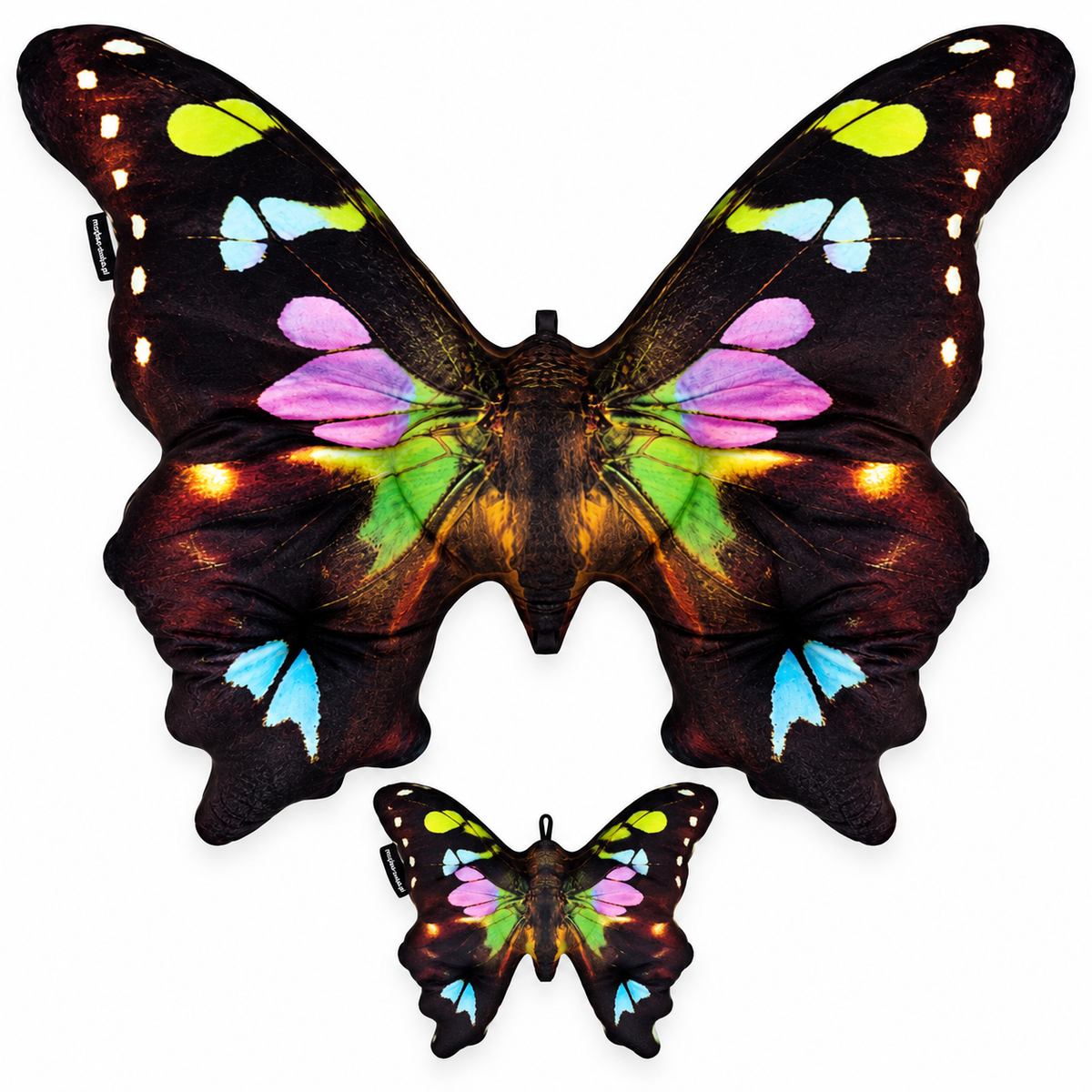 Motyl Sydney XXL