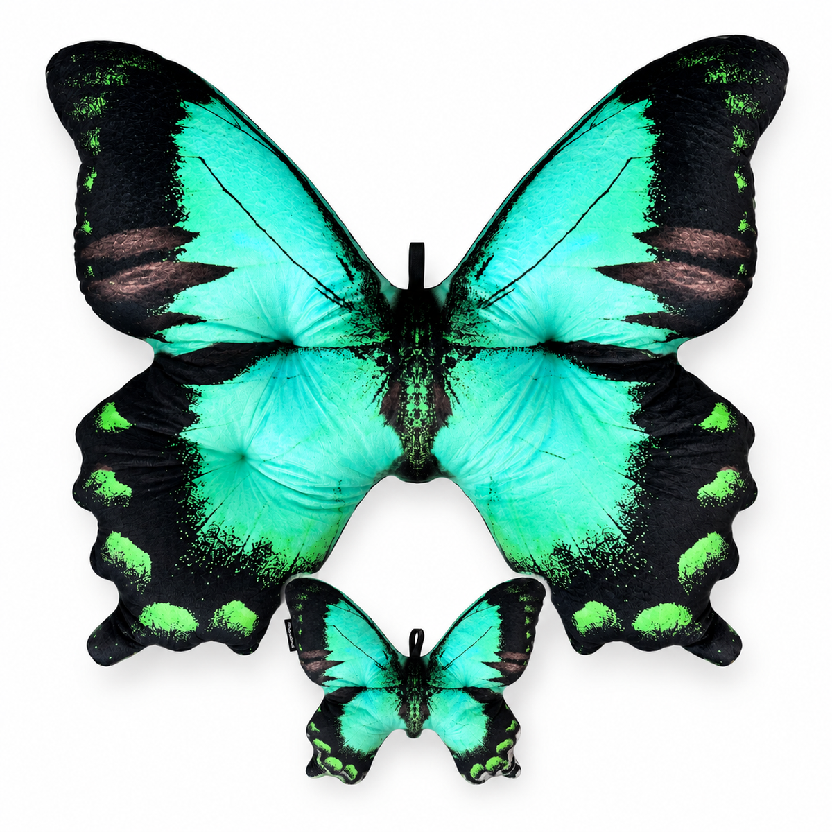 Motyl Indonezja XXL