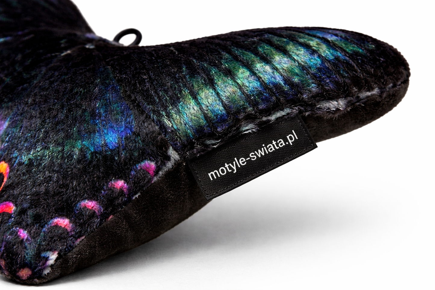 Motylek Pekin mały