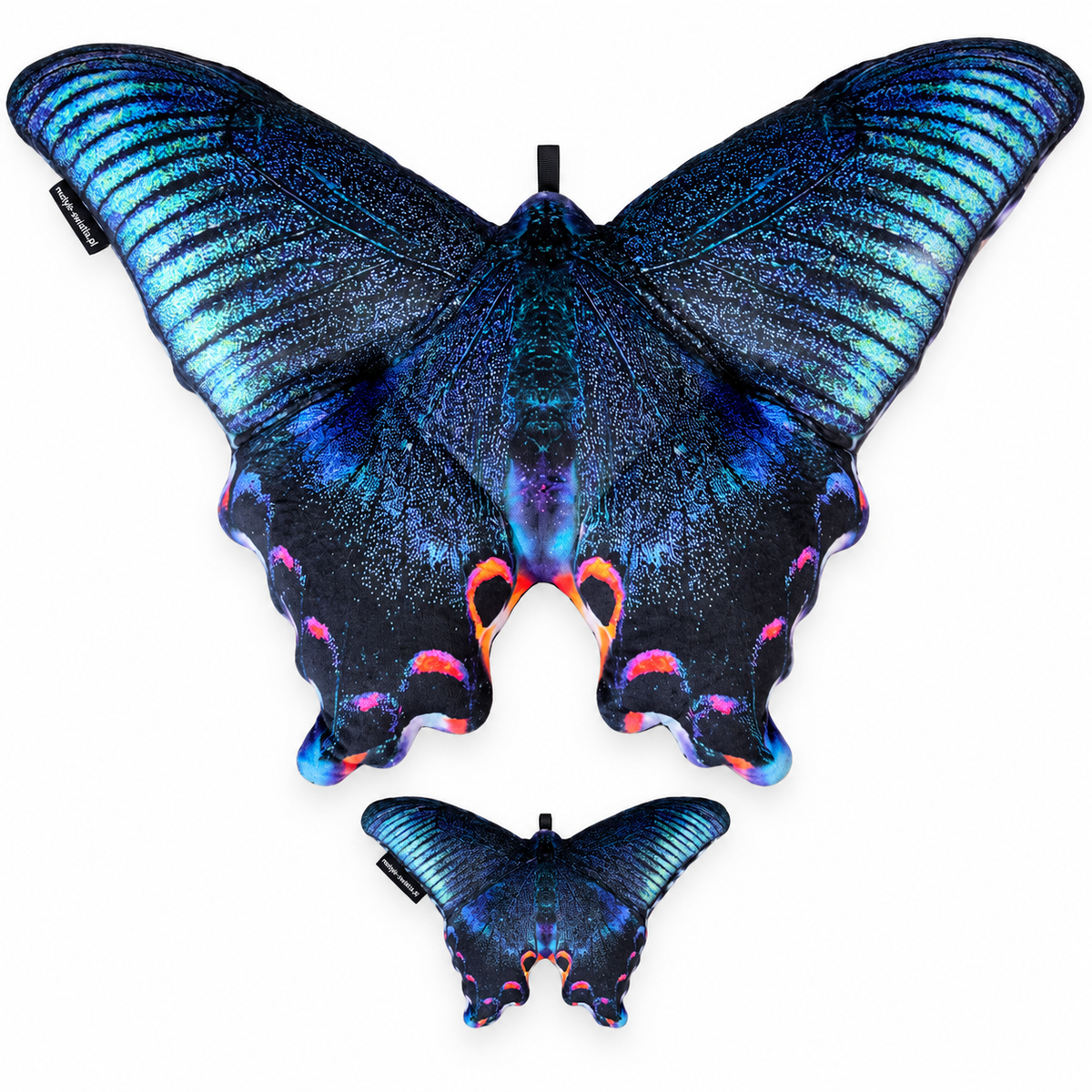 Motyl Pekin XXL