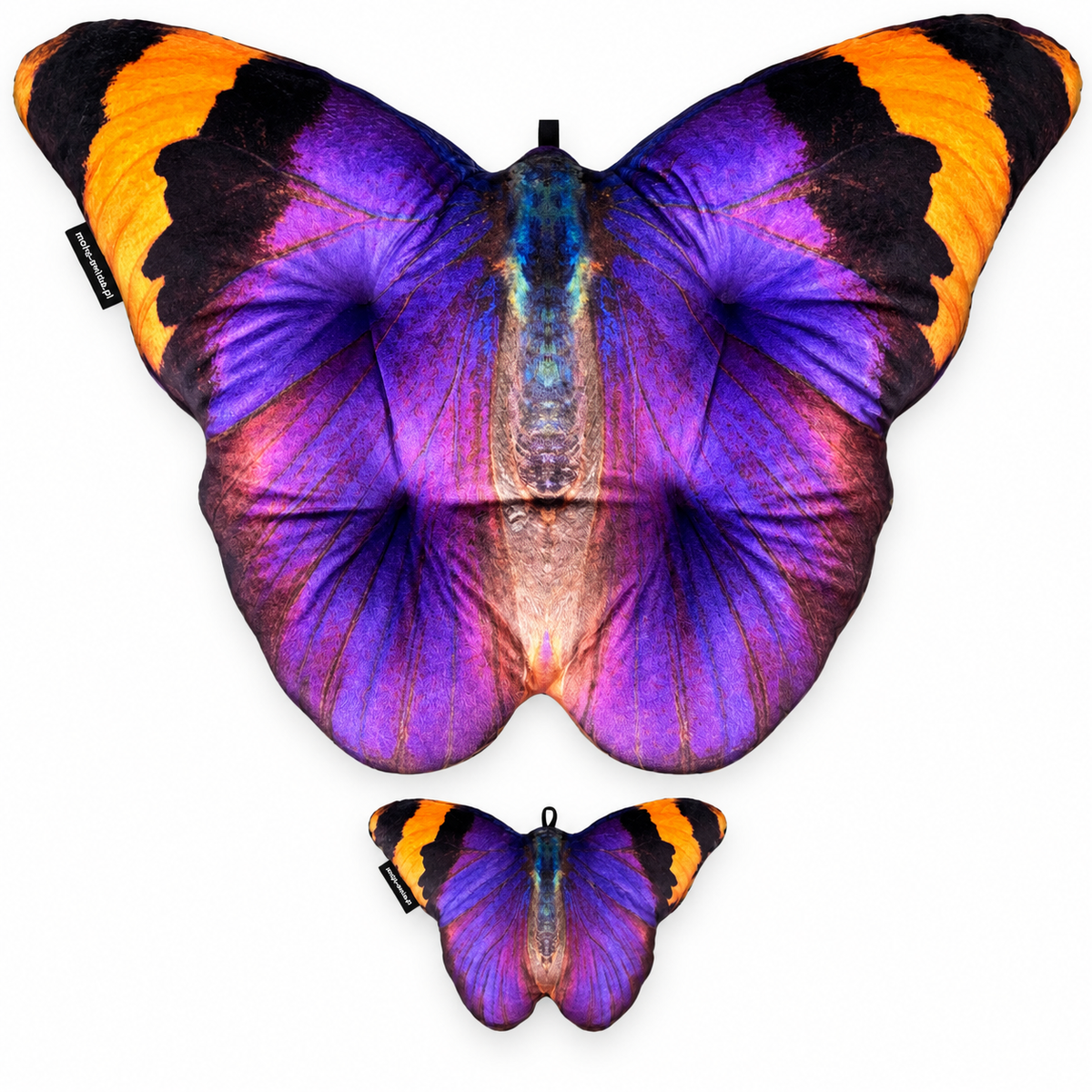Motyl Sierra Leone XXL