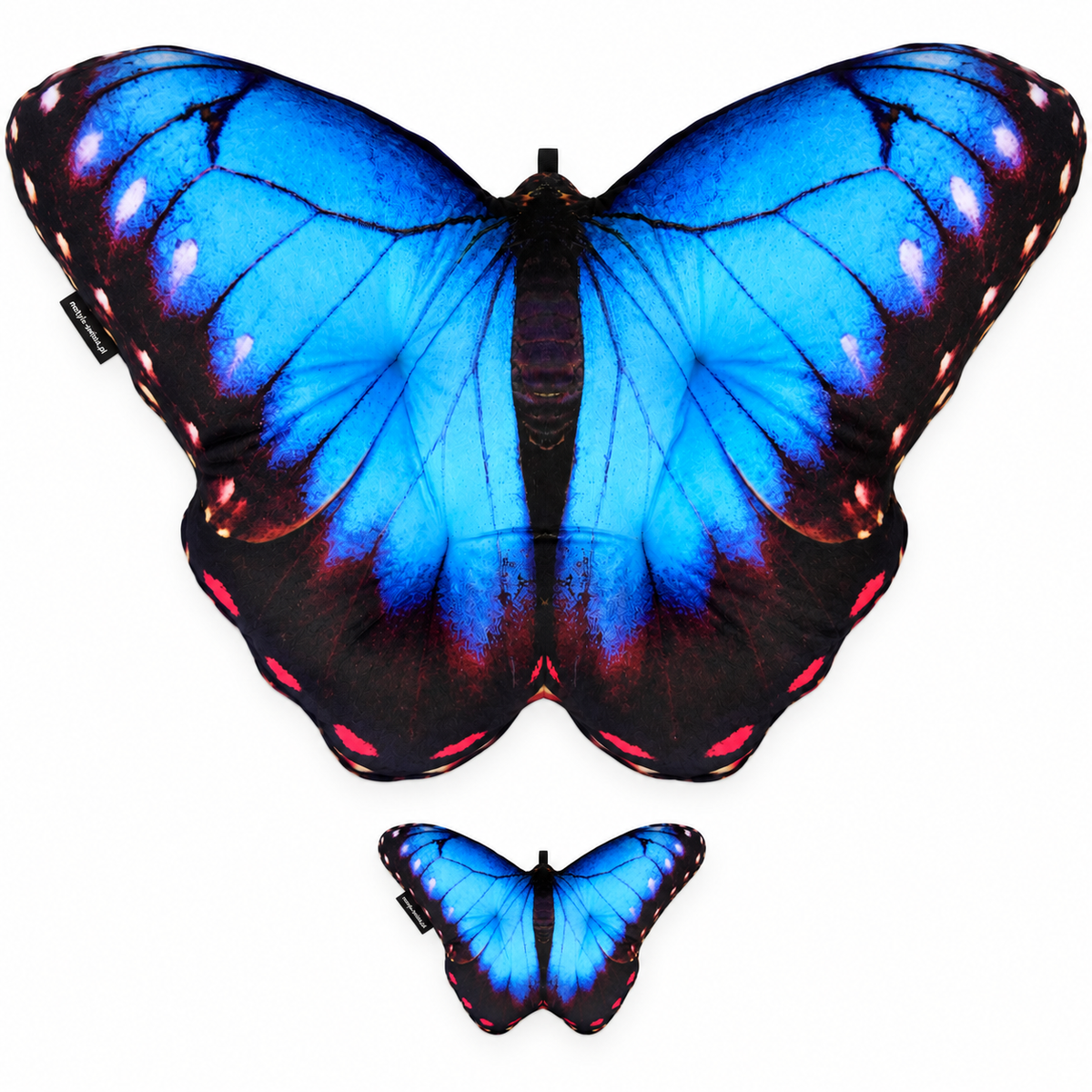 Motyl Meksyk XXL