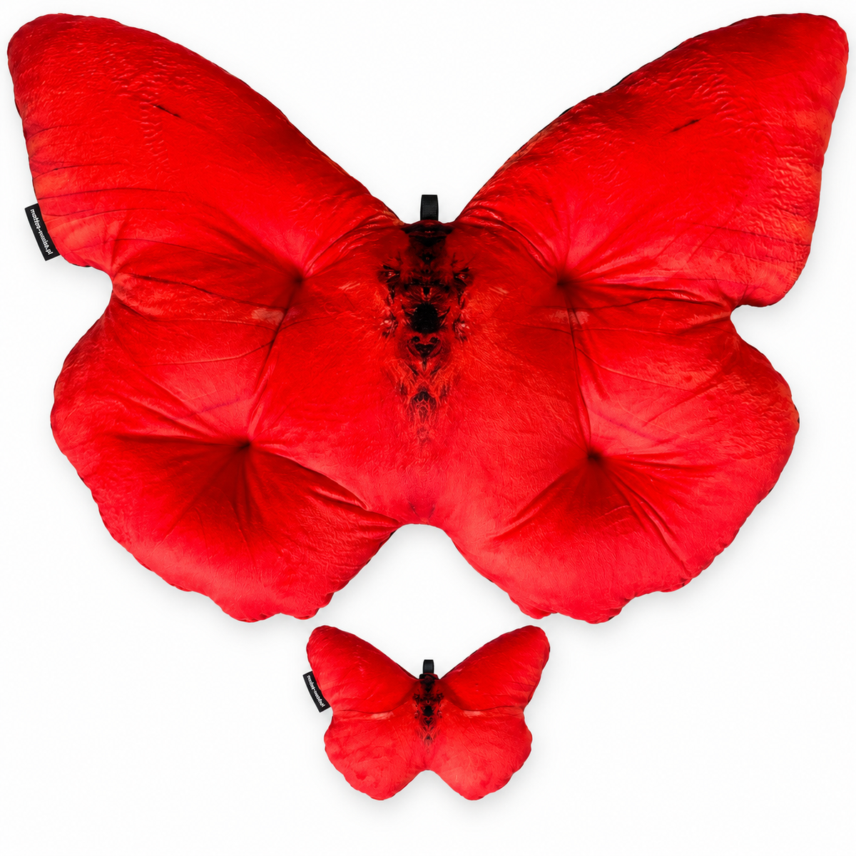 Motyl Kamerun XXL