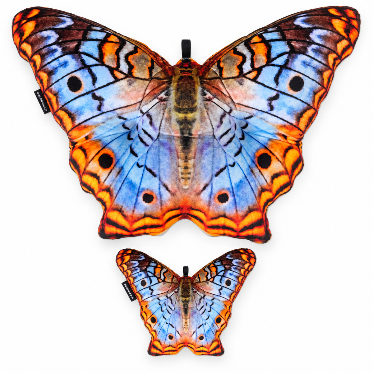 Motyl Miami XXL