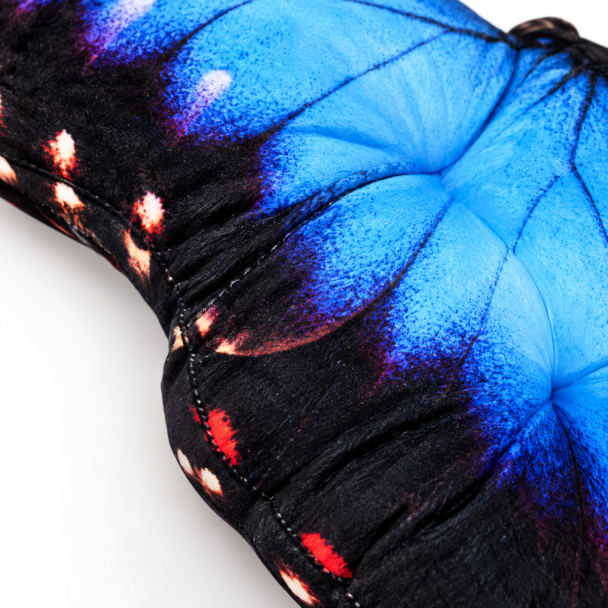 Motyl Meksyk XXL