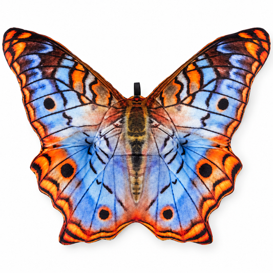 Motyl Miami XXL