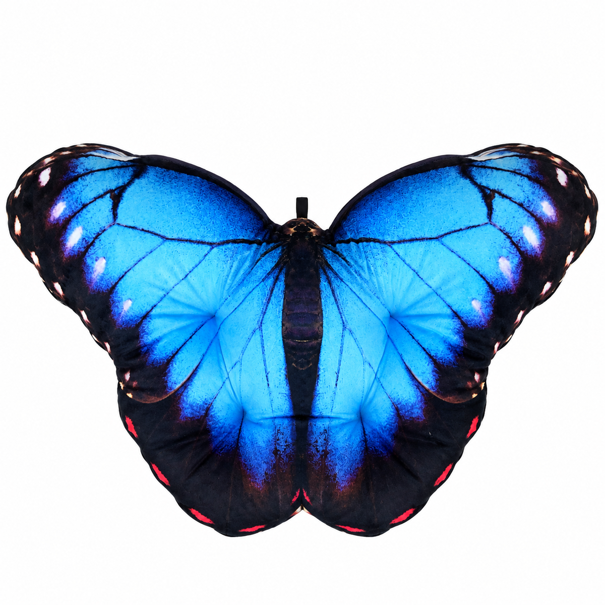 Motyl Meksyk XXL