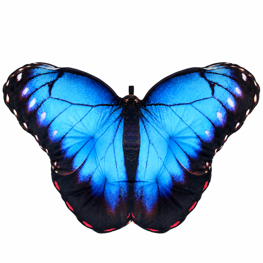 Motyl Meksyk XXL