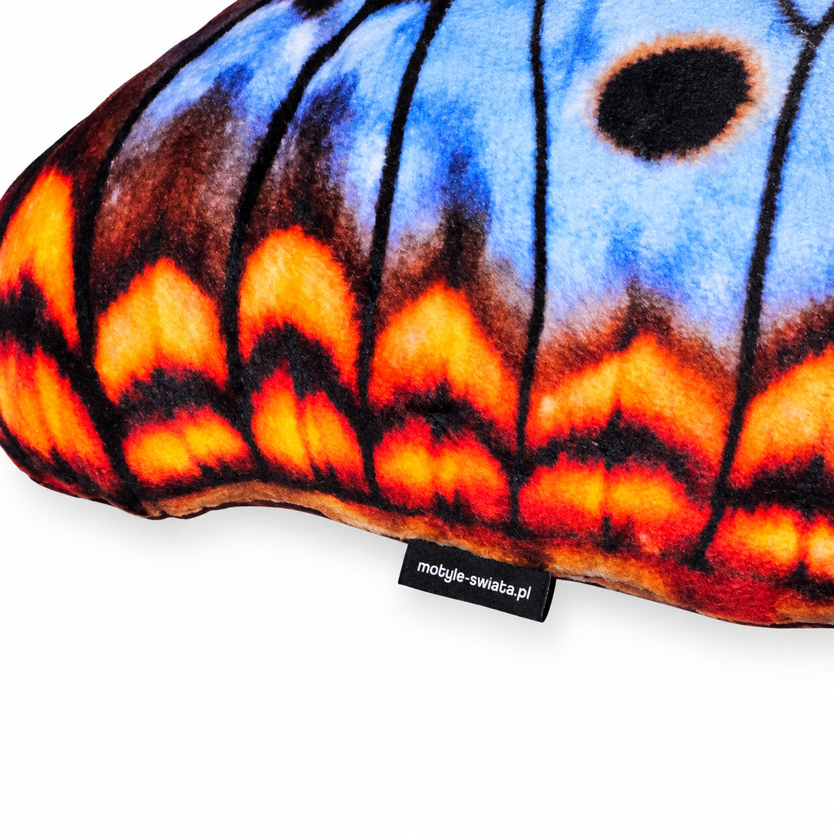 Motyl Miami XXL