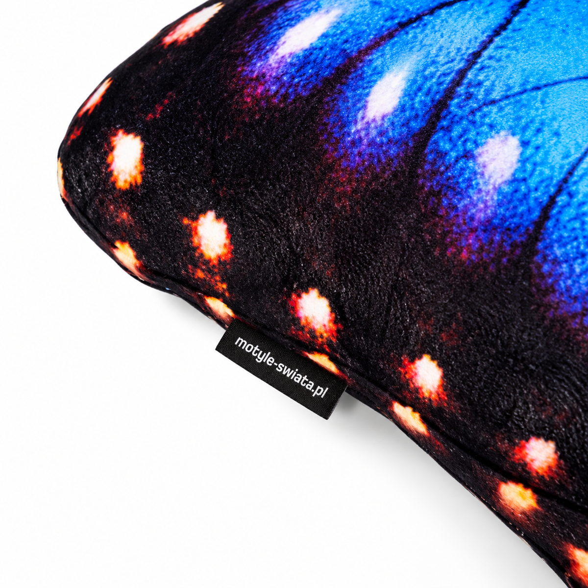 Motyl Meksyk XXL