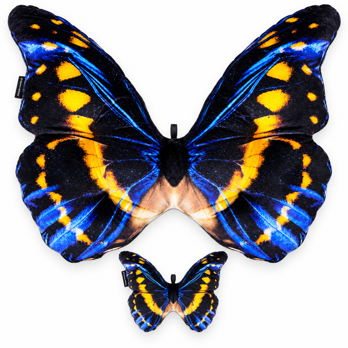 Motyl Panama XXL