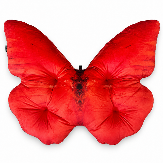Motyl Kamerun XXL