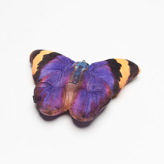 Motyl Sierra Leone
