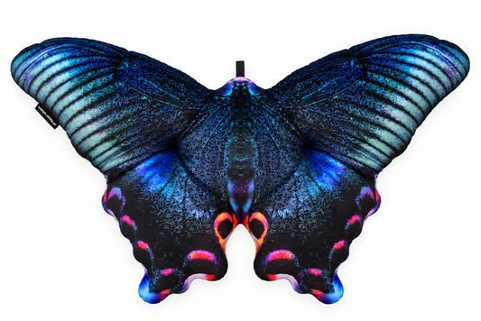 Motyl Pekin XXL