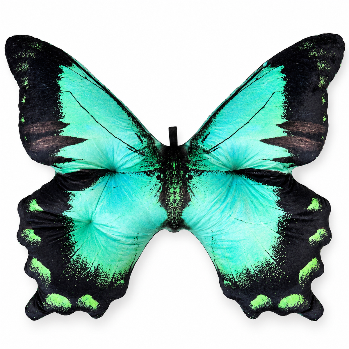 Motyl Indonezja XXL
