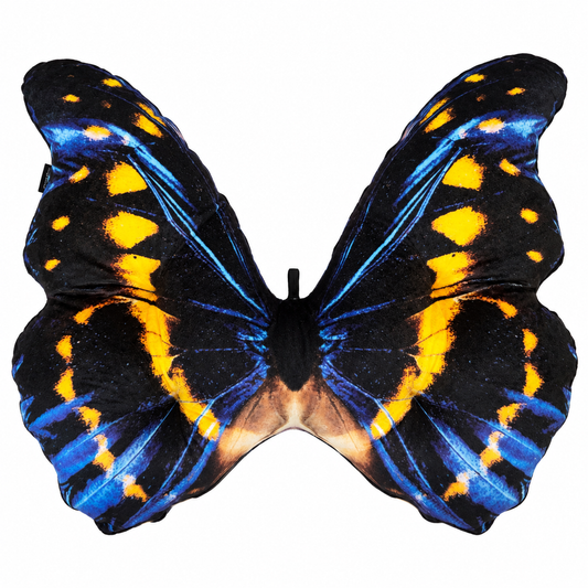 Motyl Panama XXL