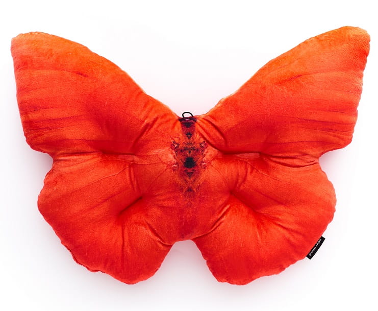 Motyl Kamerun