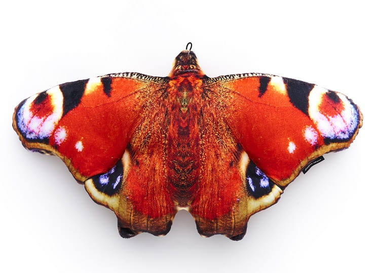 Motyl Rusałka Pawik