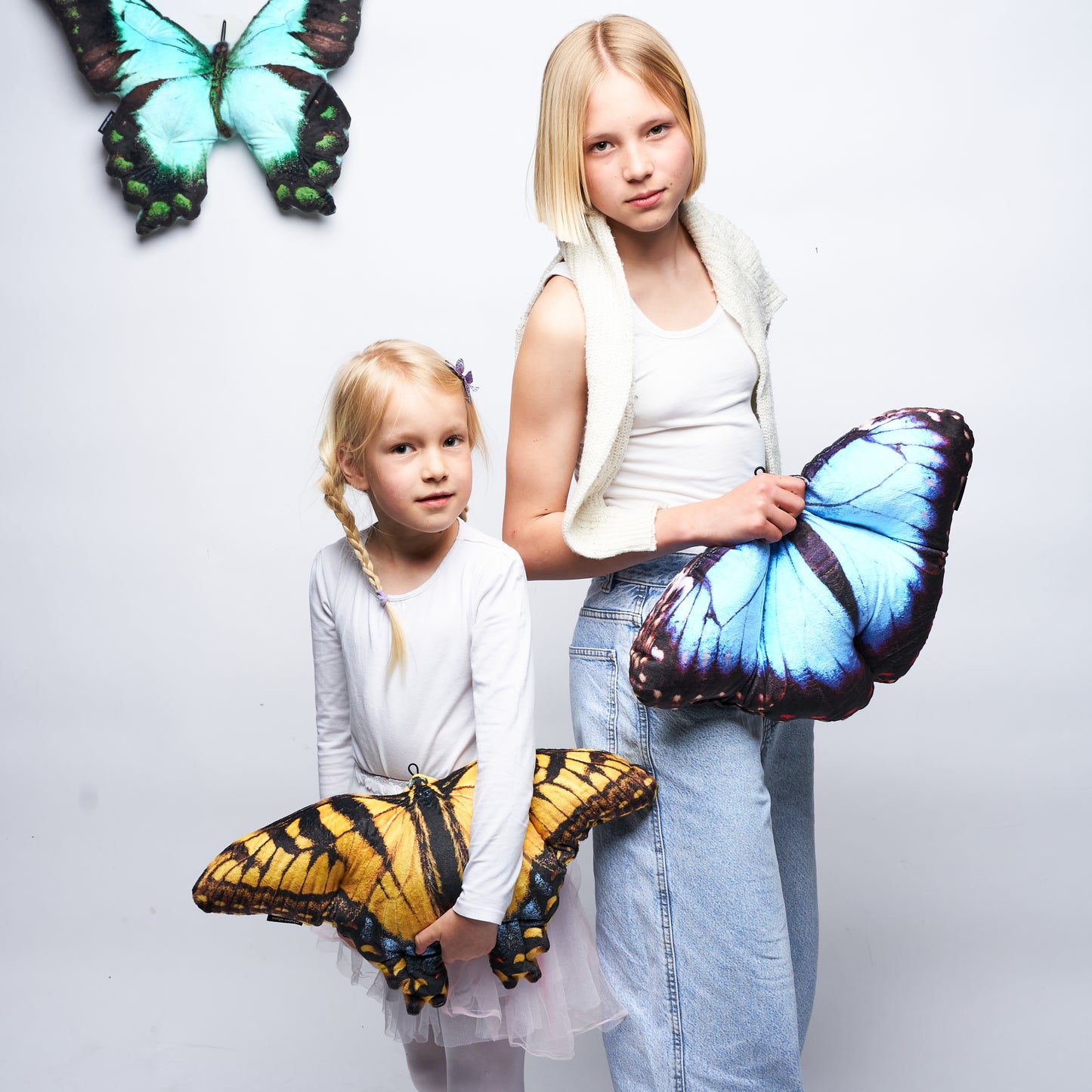 Motyl Paź królowej