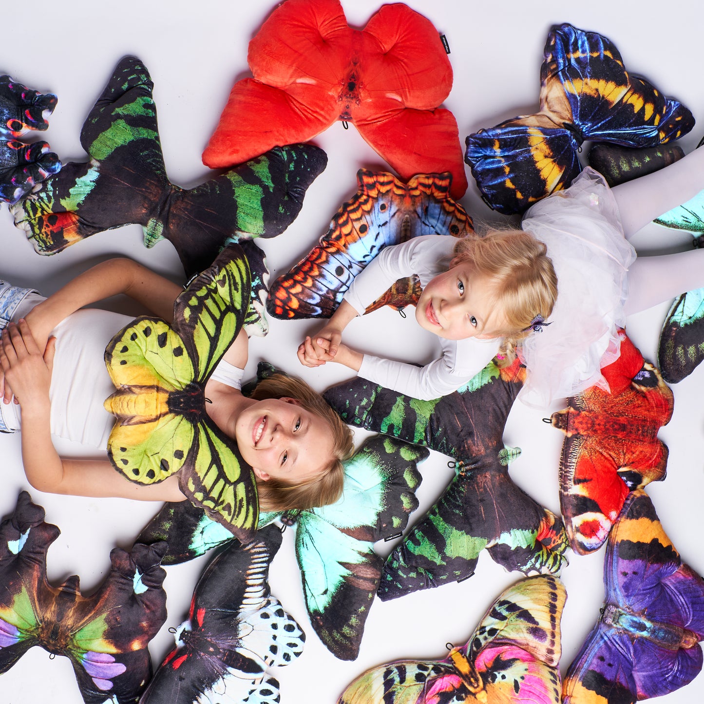 Motyl Rusałka Pawik