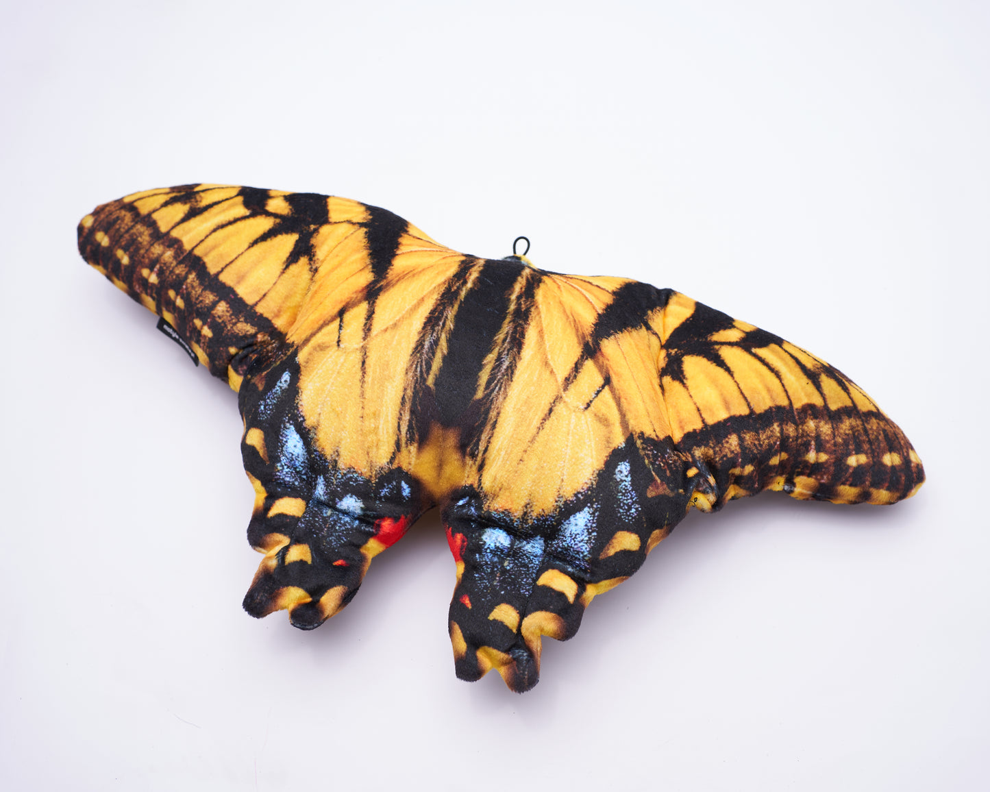 Motyl Paź królowej